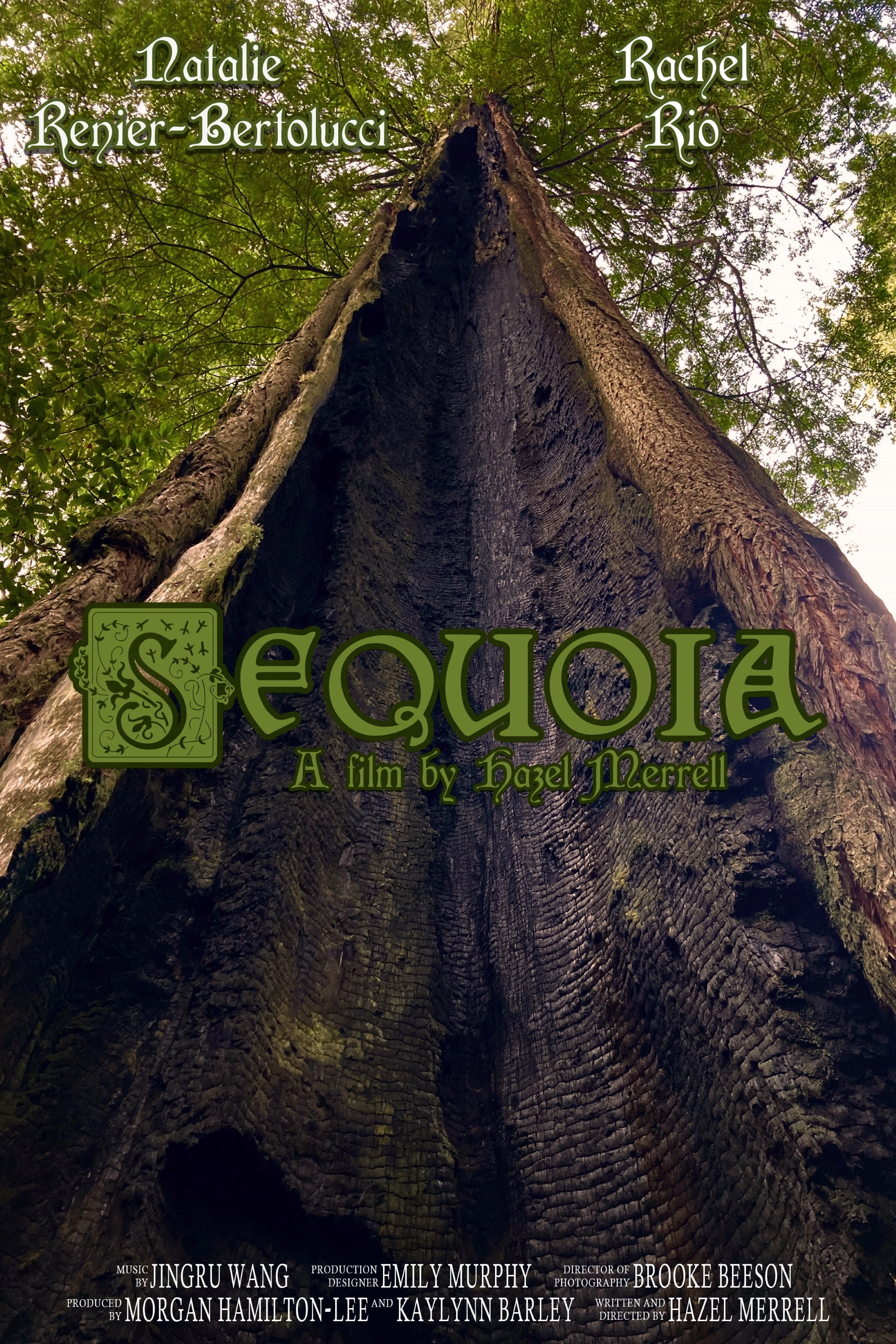 Sequoia