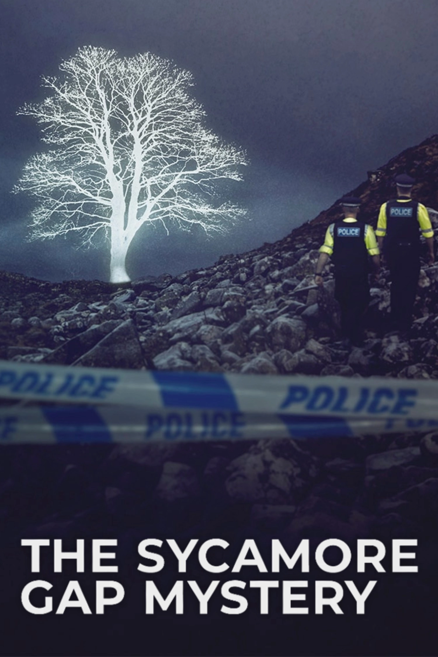 The Sycamore Gap Mystery