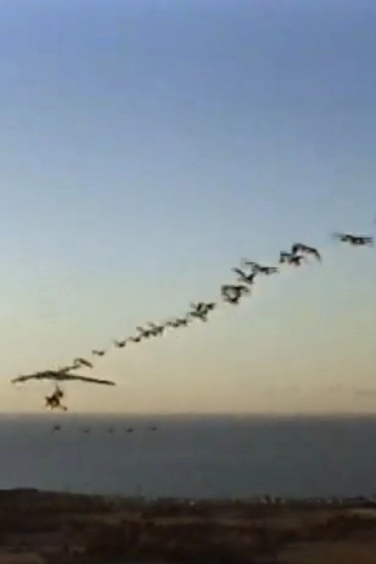The Ultra Geese