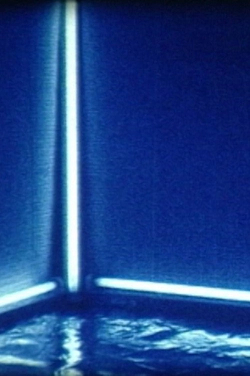 FIRST SIGHT OF VIEW