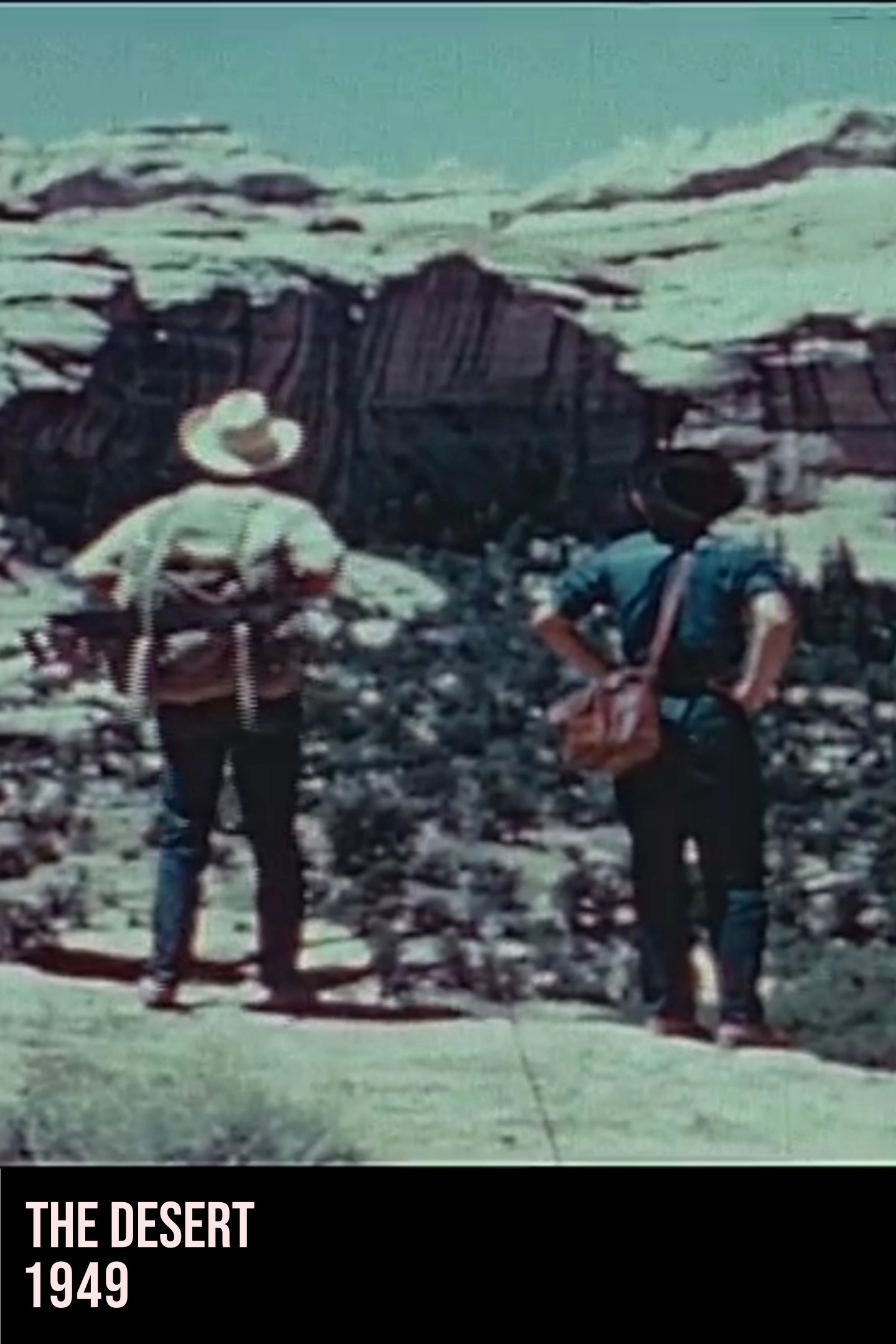 The Desert