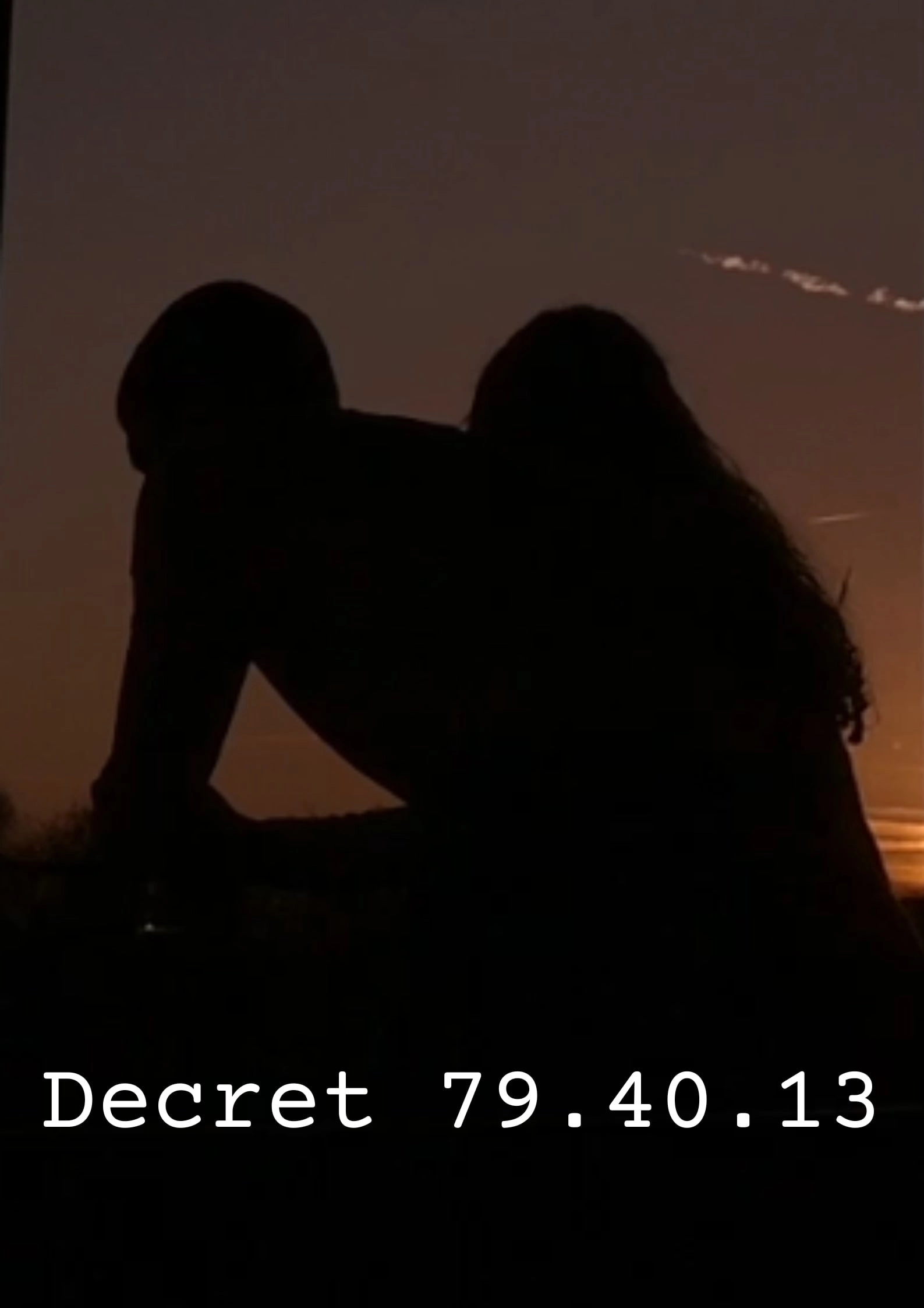 Decret 79.40.13
