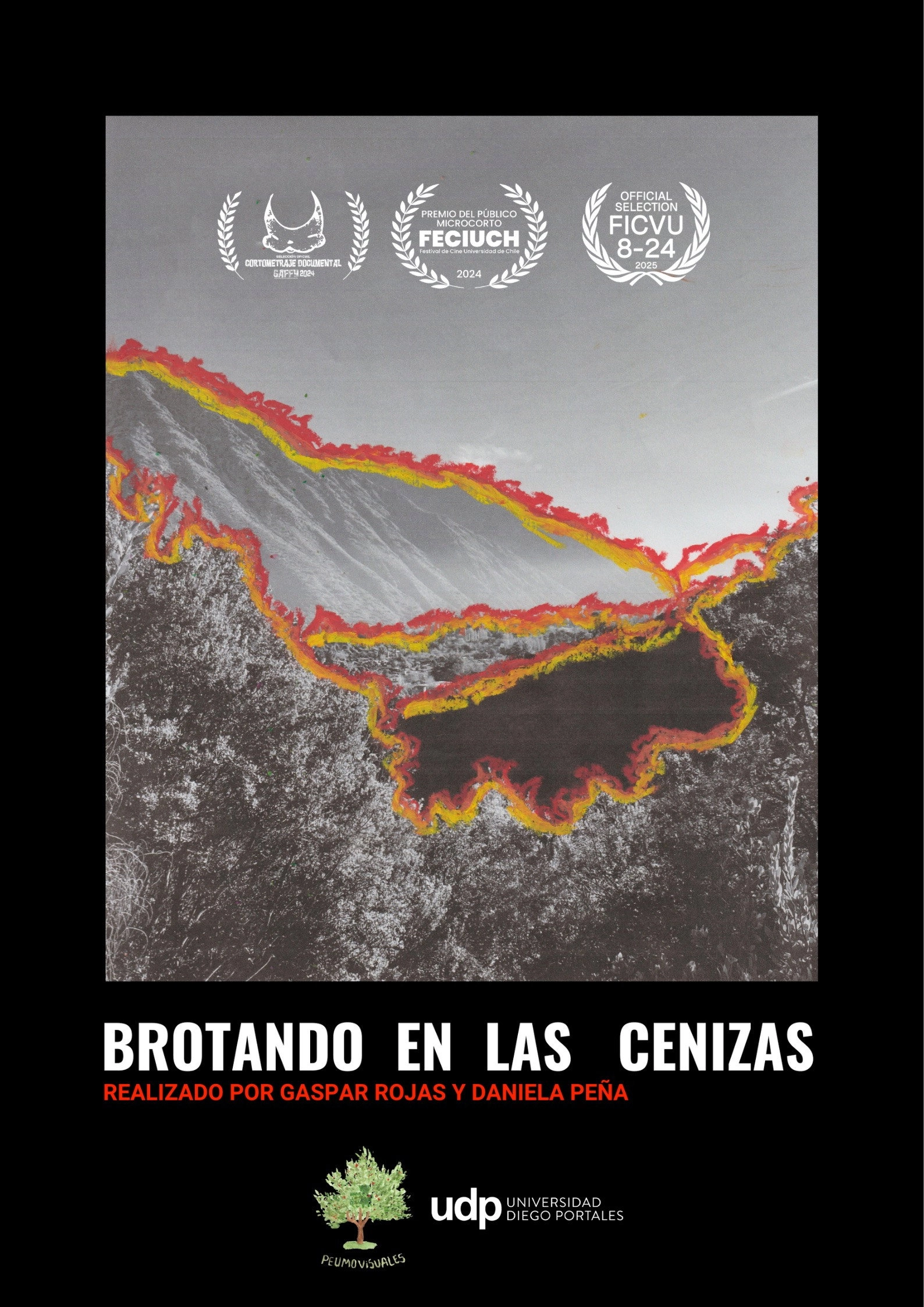 Brotando en las cenizas