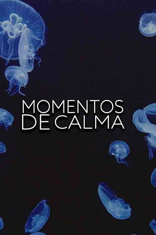 Momentos de calma