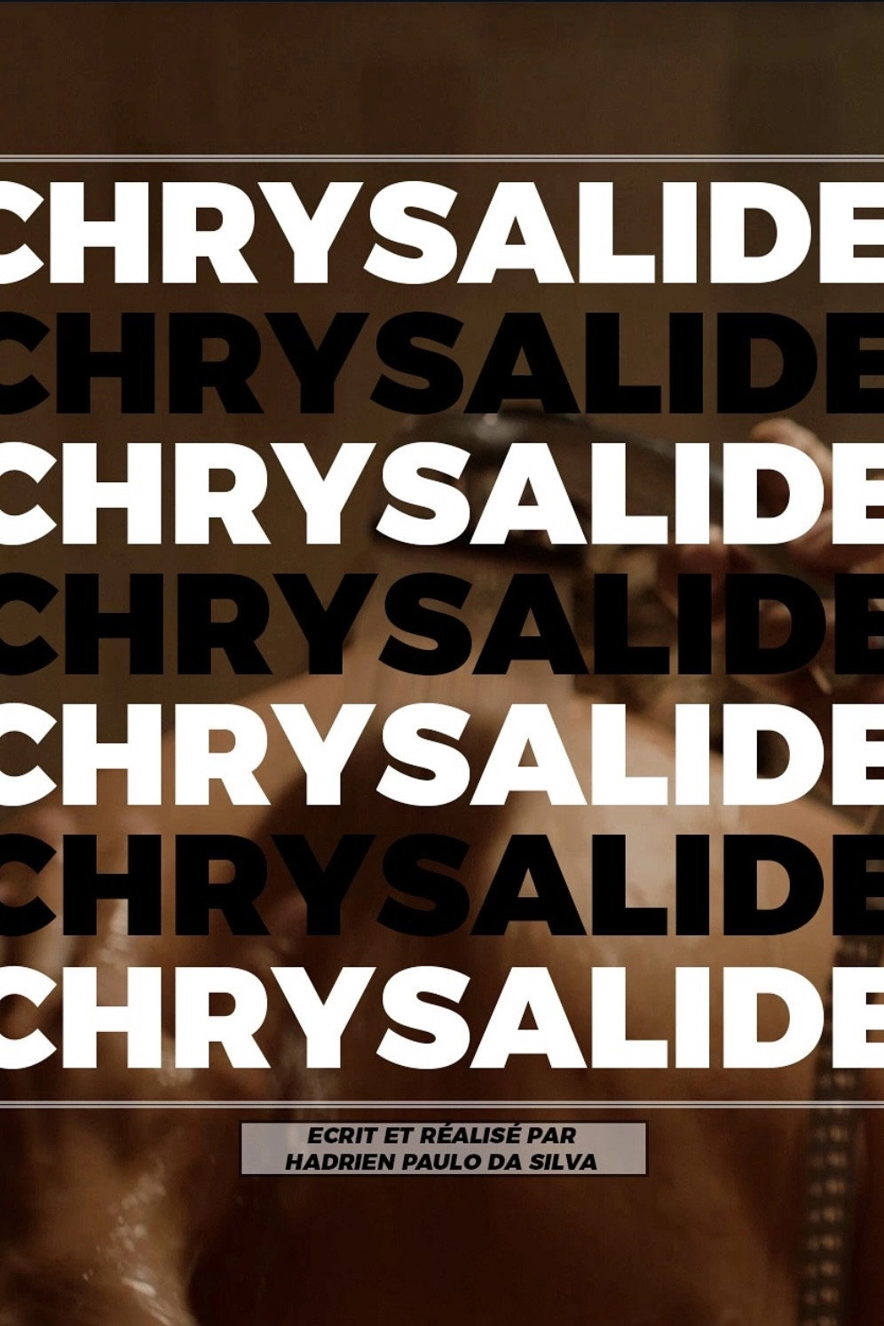 Chrysalide