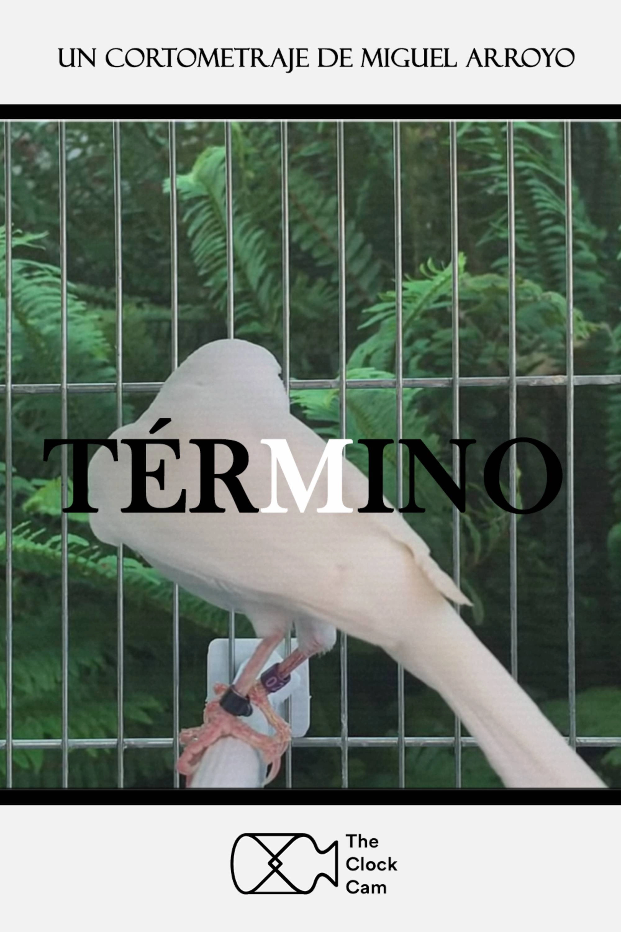Term