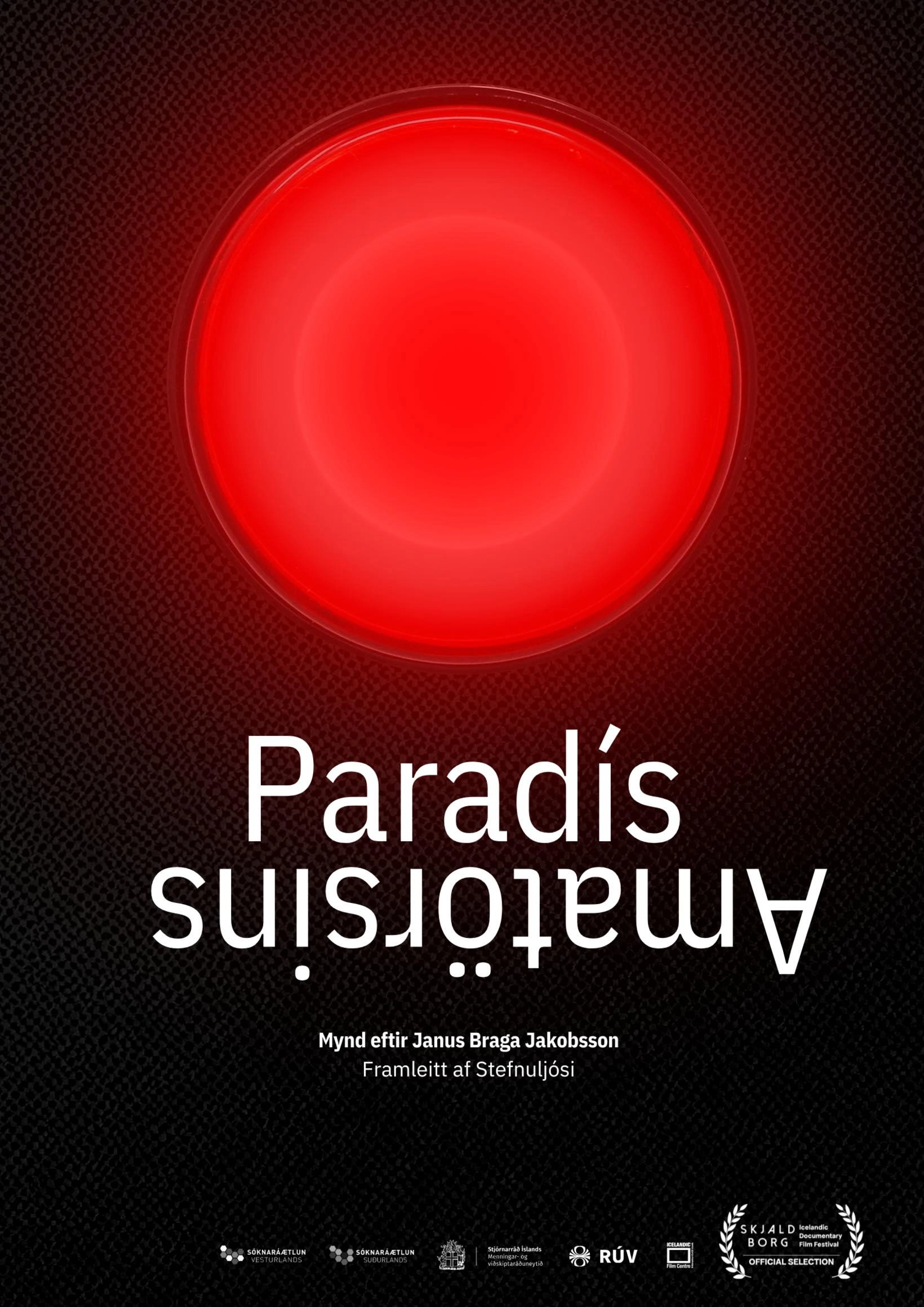 Amateurs Paradise
