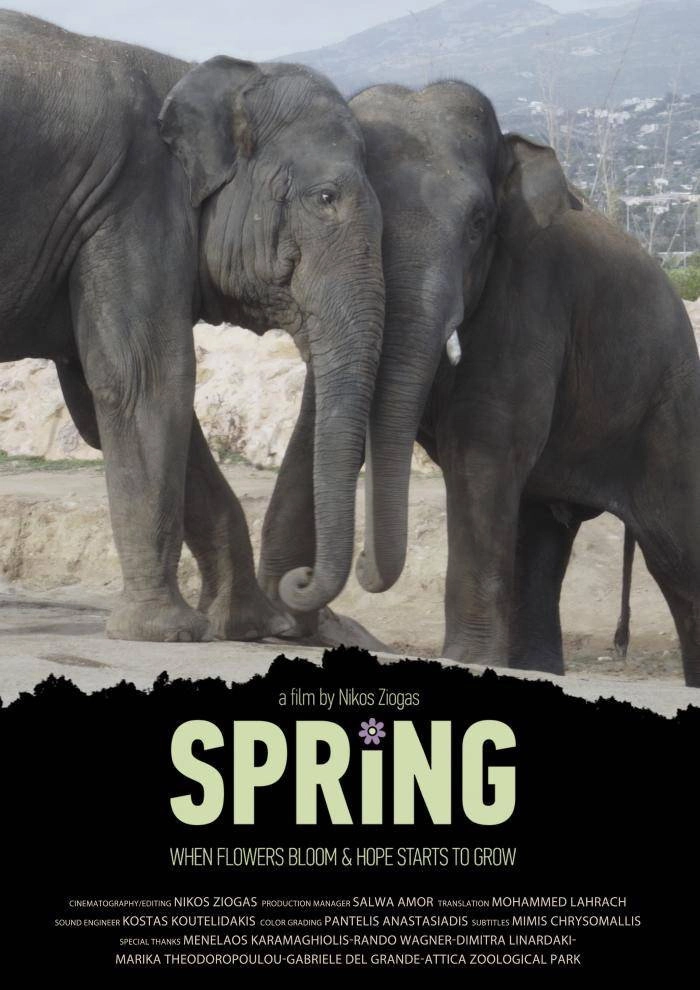 Spring