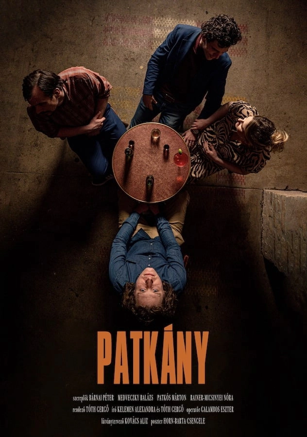 Patkány