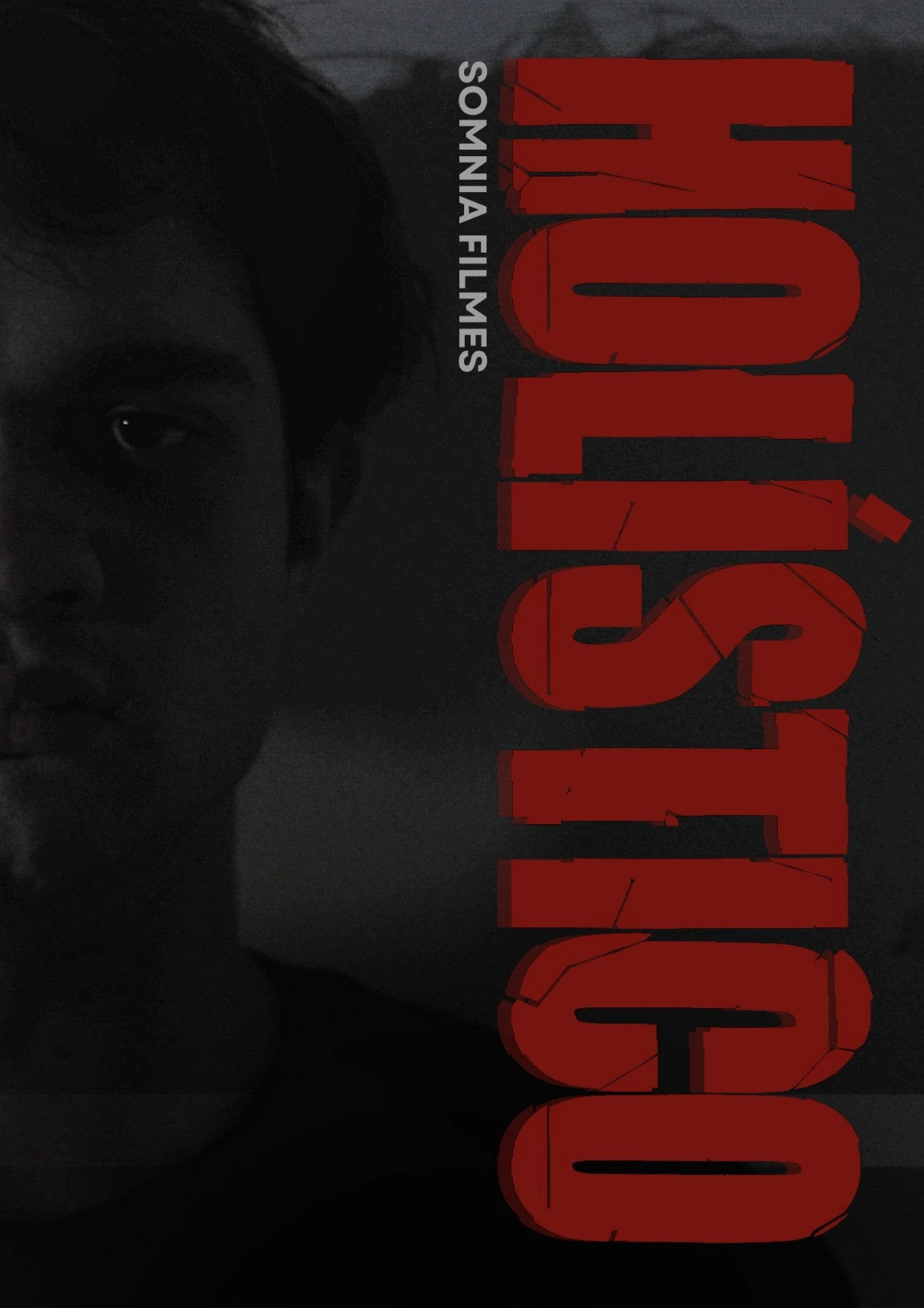 HOLÍSTICO