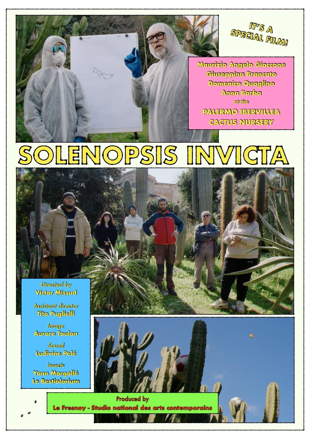 Solenopsis invicta