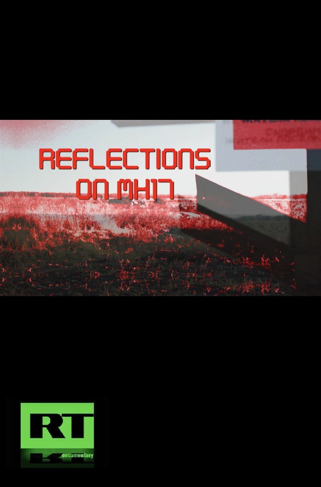 Reflections on MH17