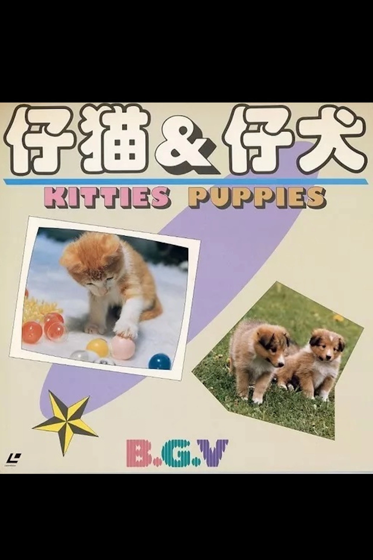 Kitties & Puppies