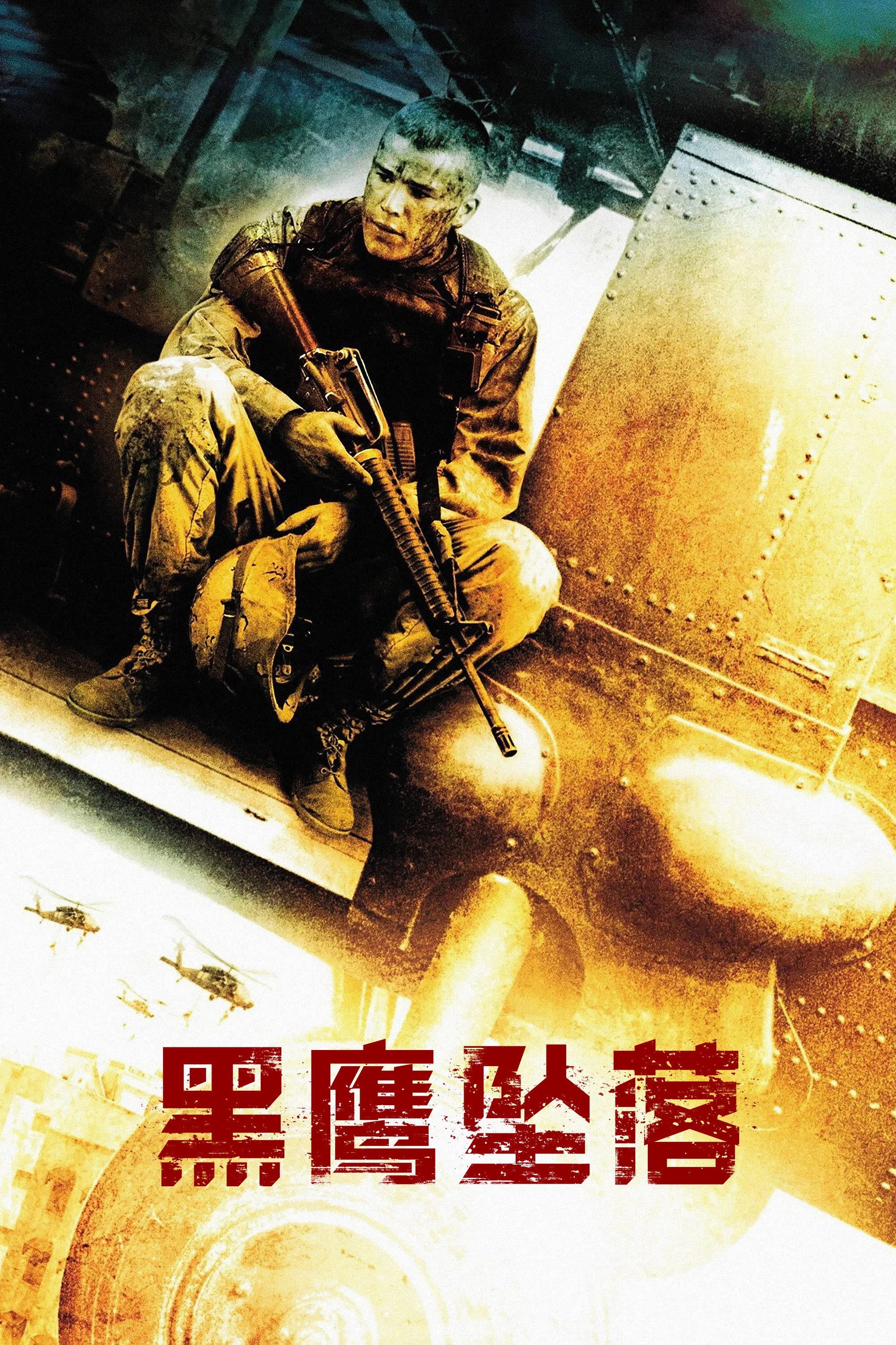 Black Hawk Down