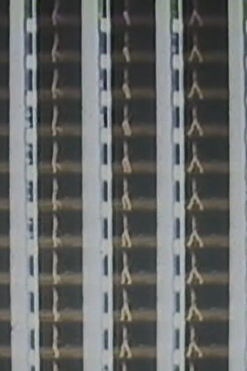 Film Display