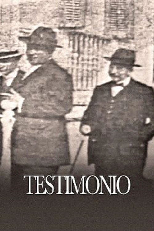 Testimonio (Historia)