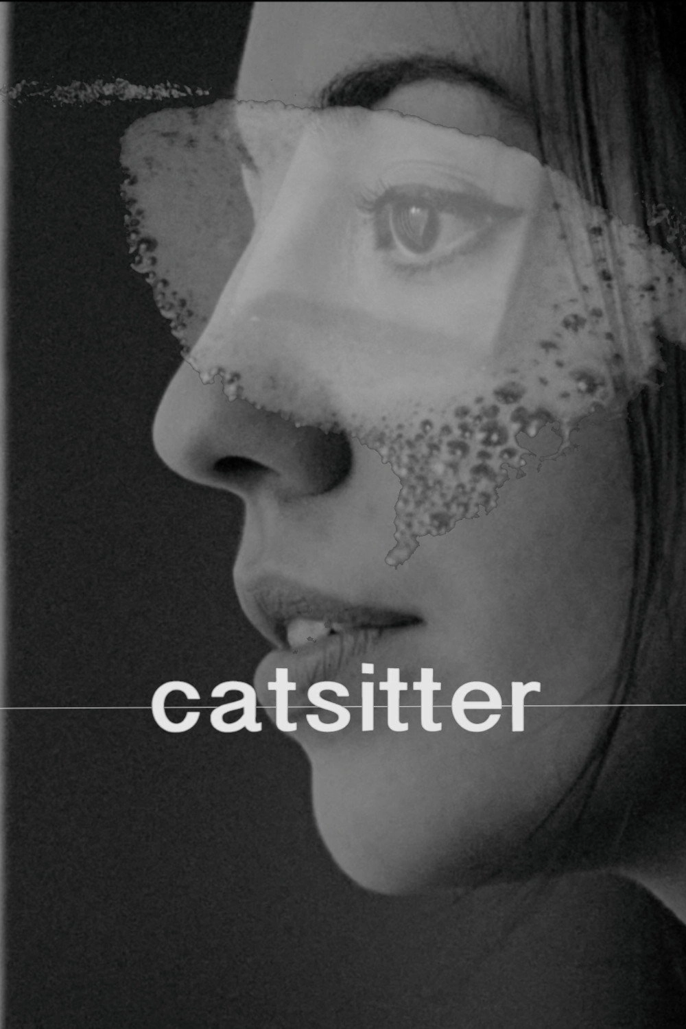 Catsitter
