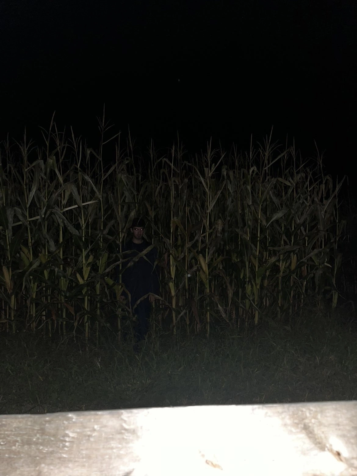 STALKED
