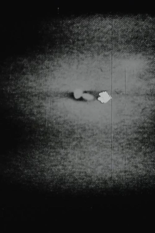S No. 1