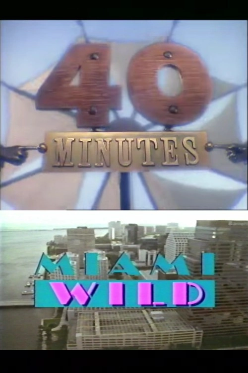 Miami Wild