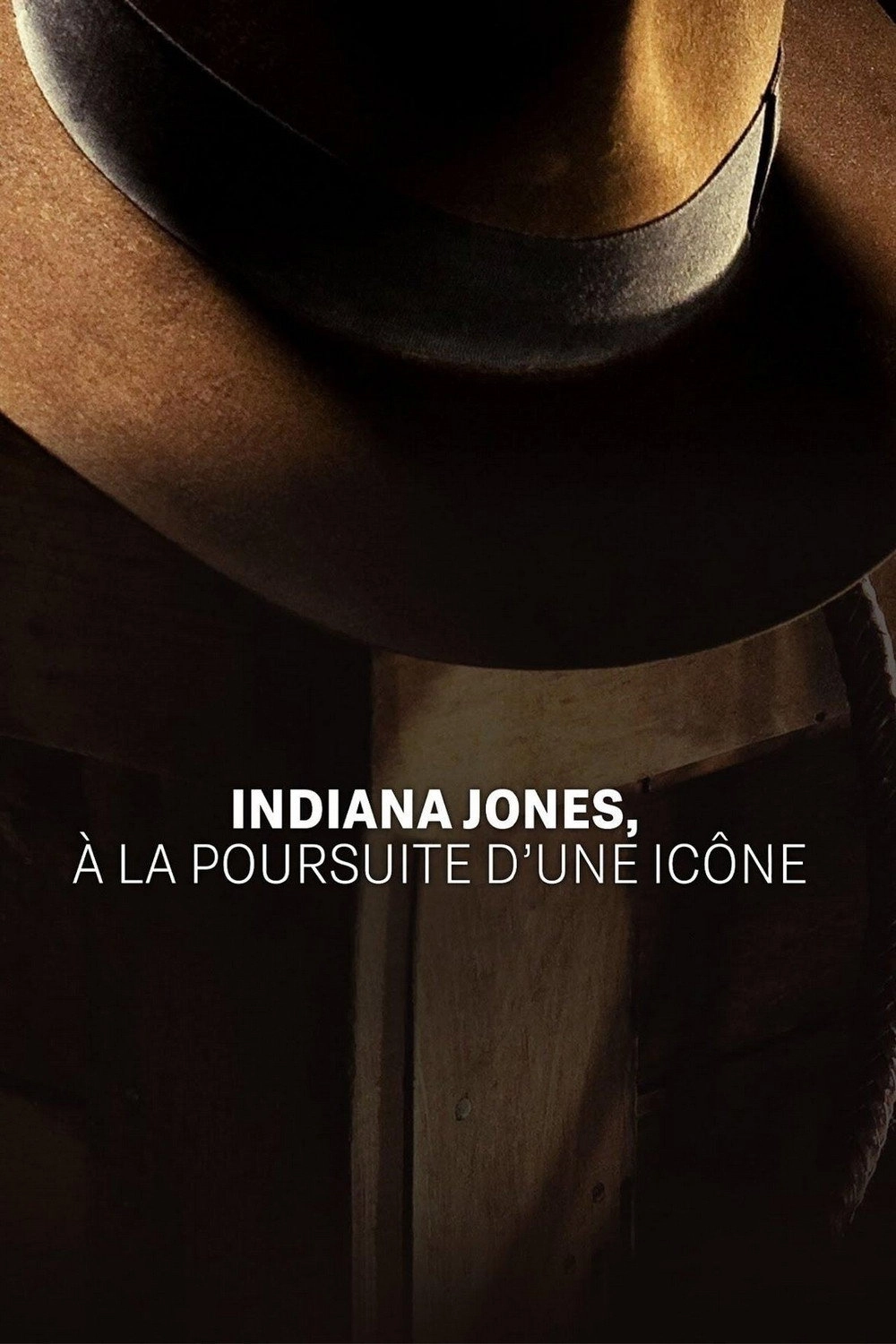 Indiana Jones: Chasing an Icon