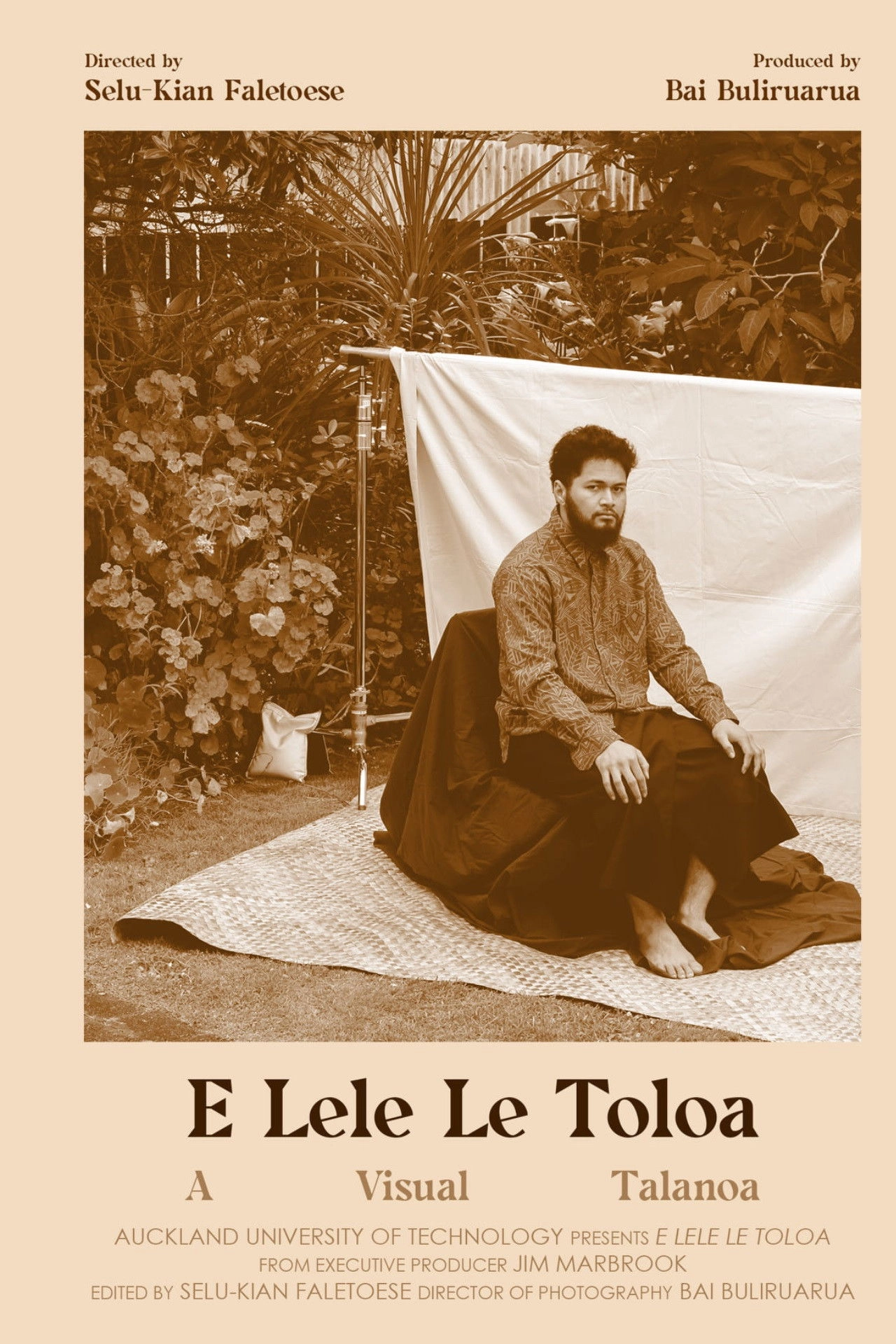 The Toloa Bird Soars