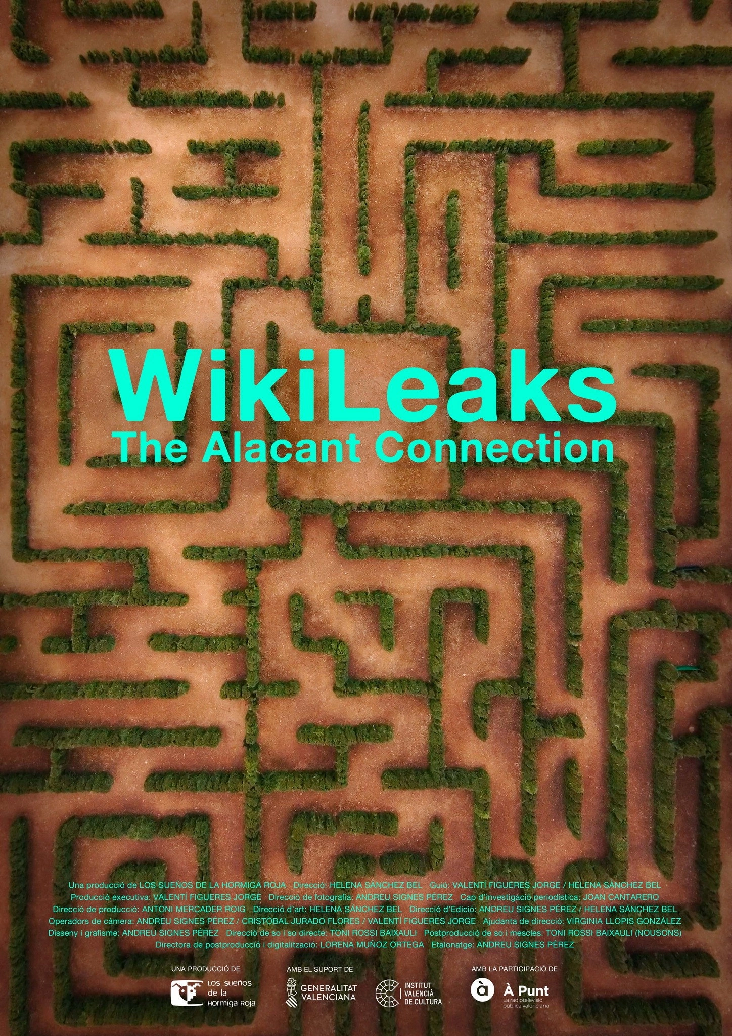 Wikileaks. The Alacant connection