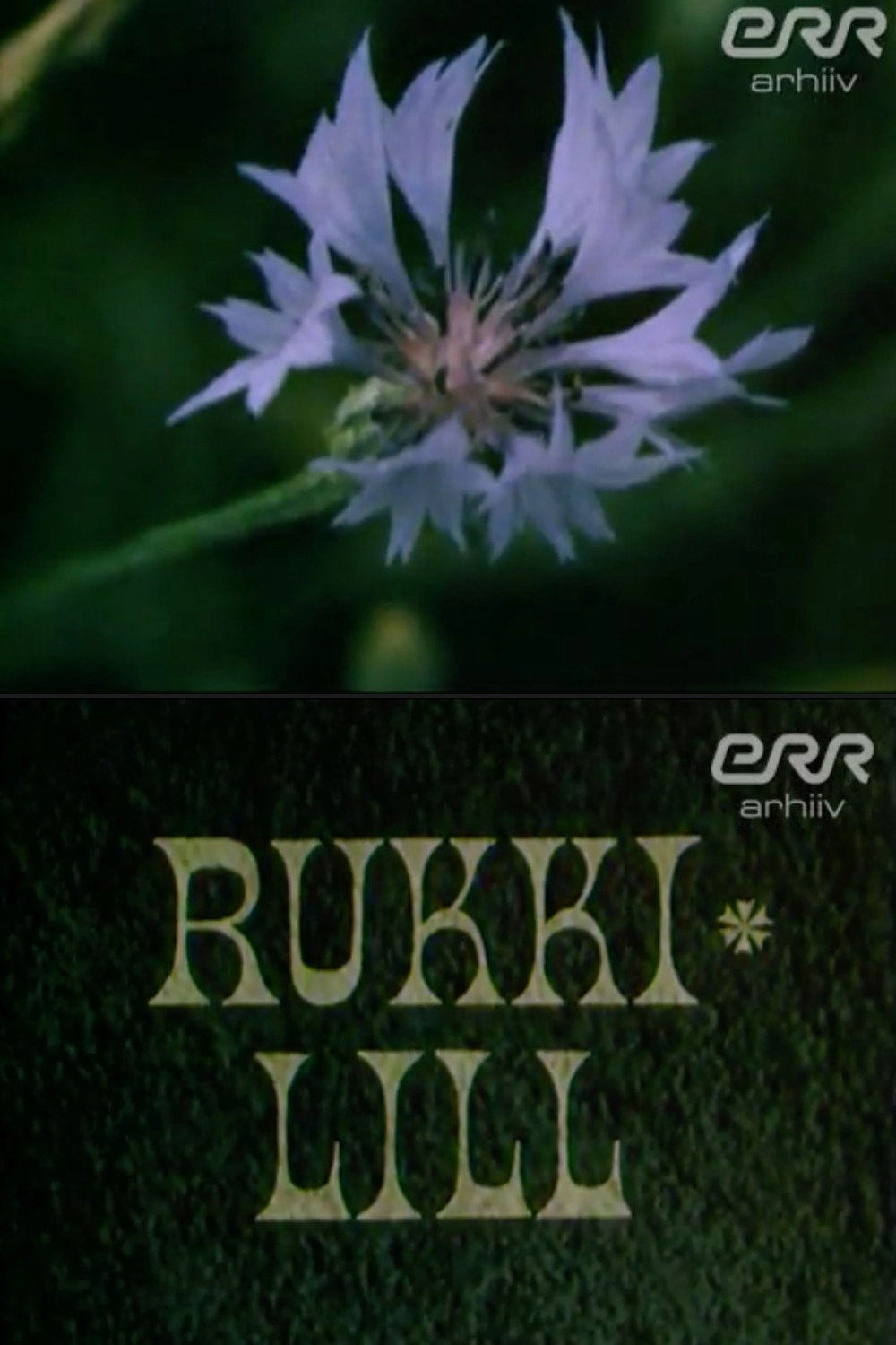 Rye Flower