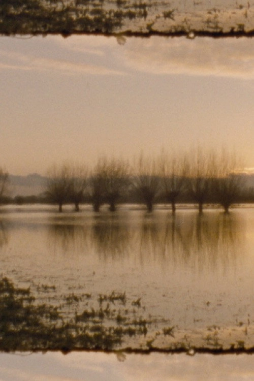 Landscape as Landscape 11