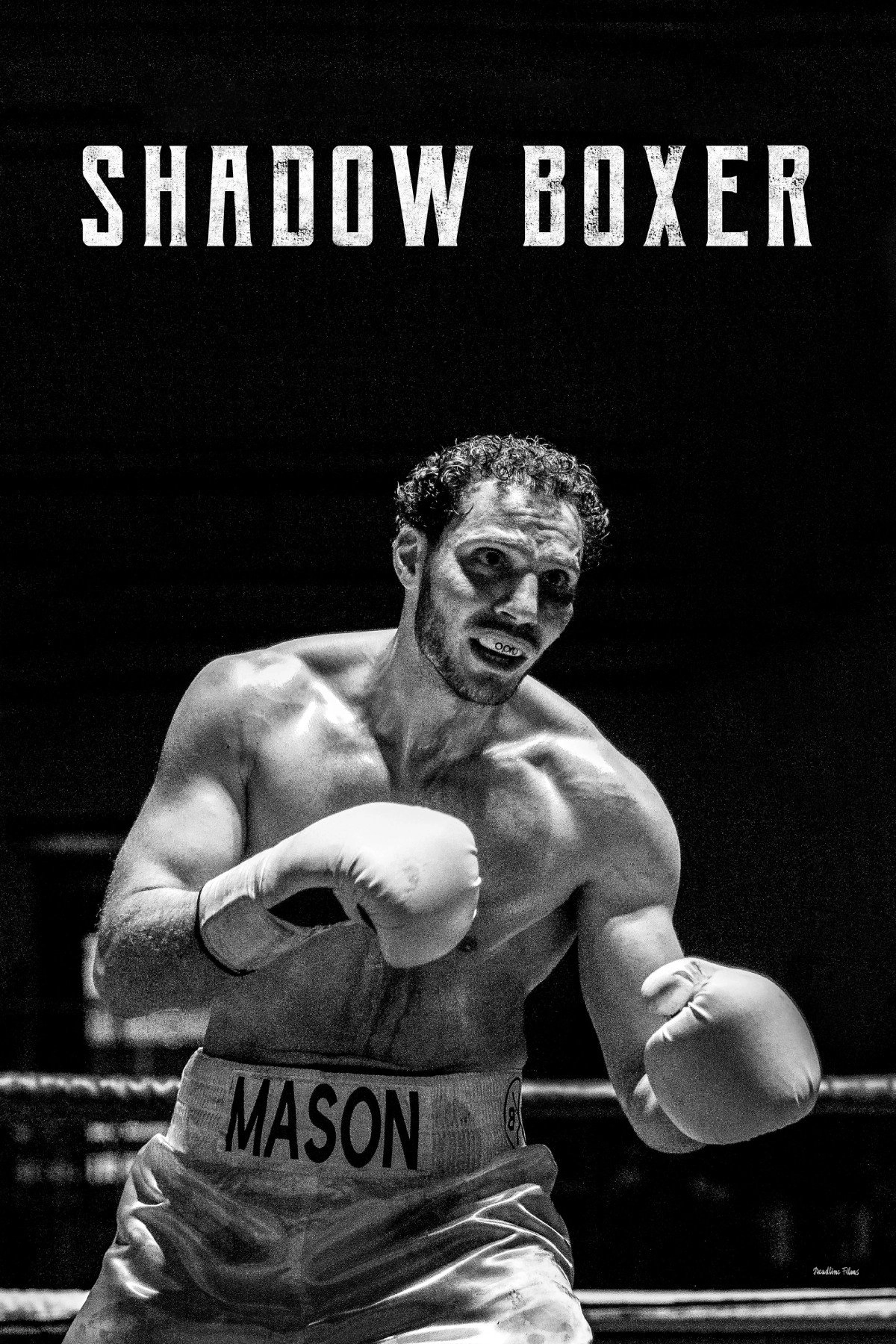 Shadow Boxer