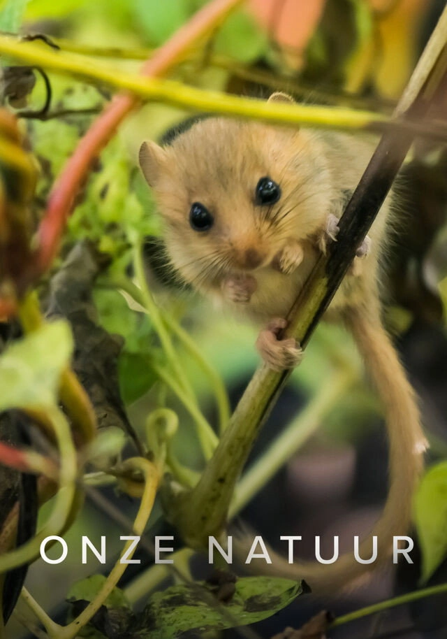 Onze Natuur Ketnet