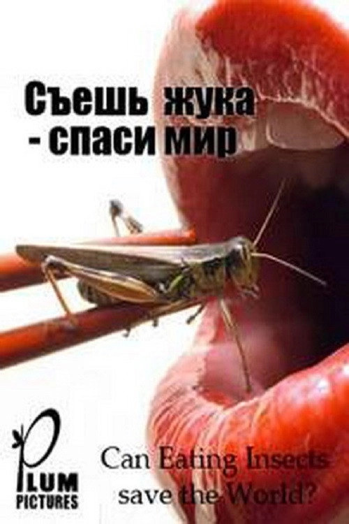 Can eating insects save the world?