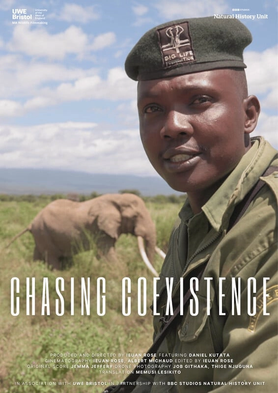 Chasing Coexistence