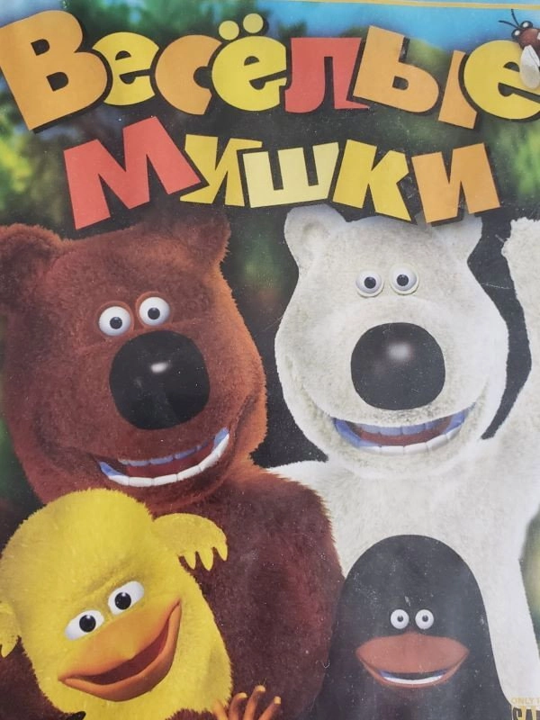 Funny Bears