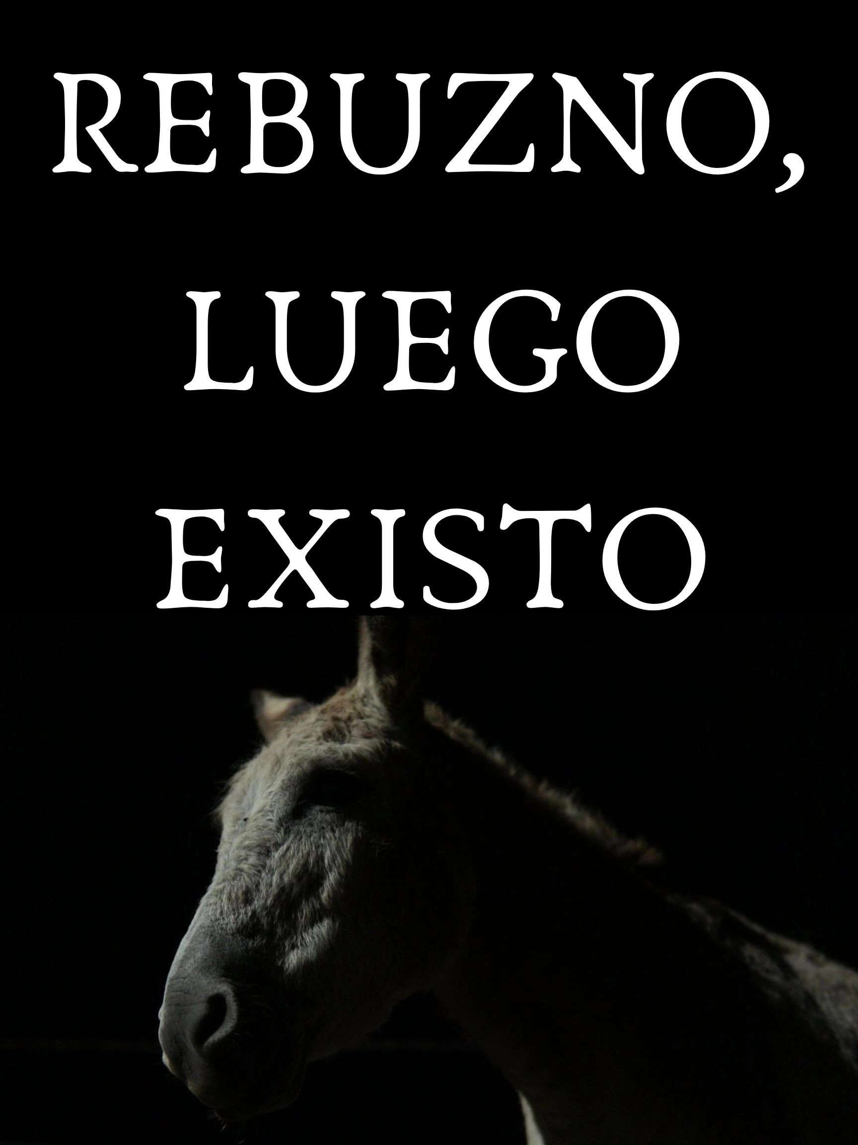 Rebuzno, Luego Existo
