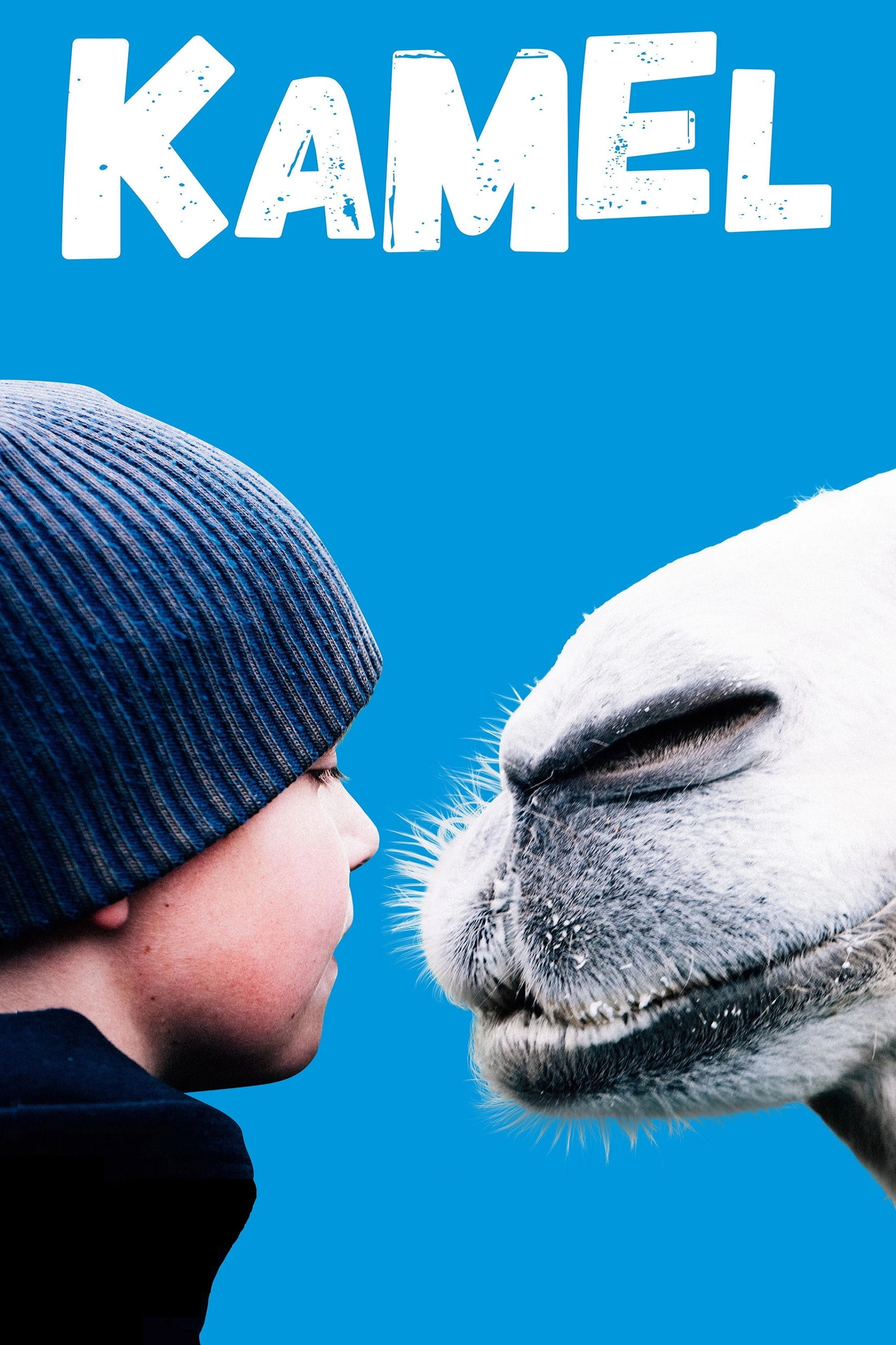 The Arctic Camels