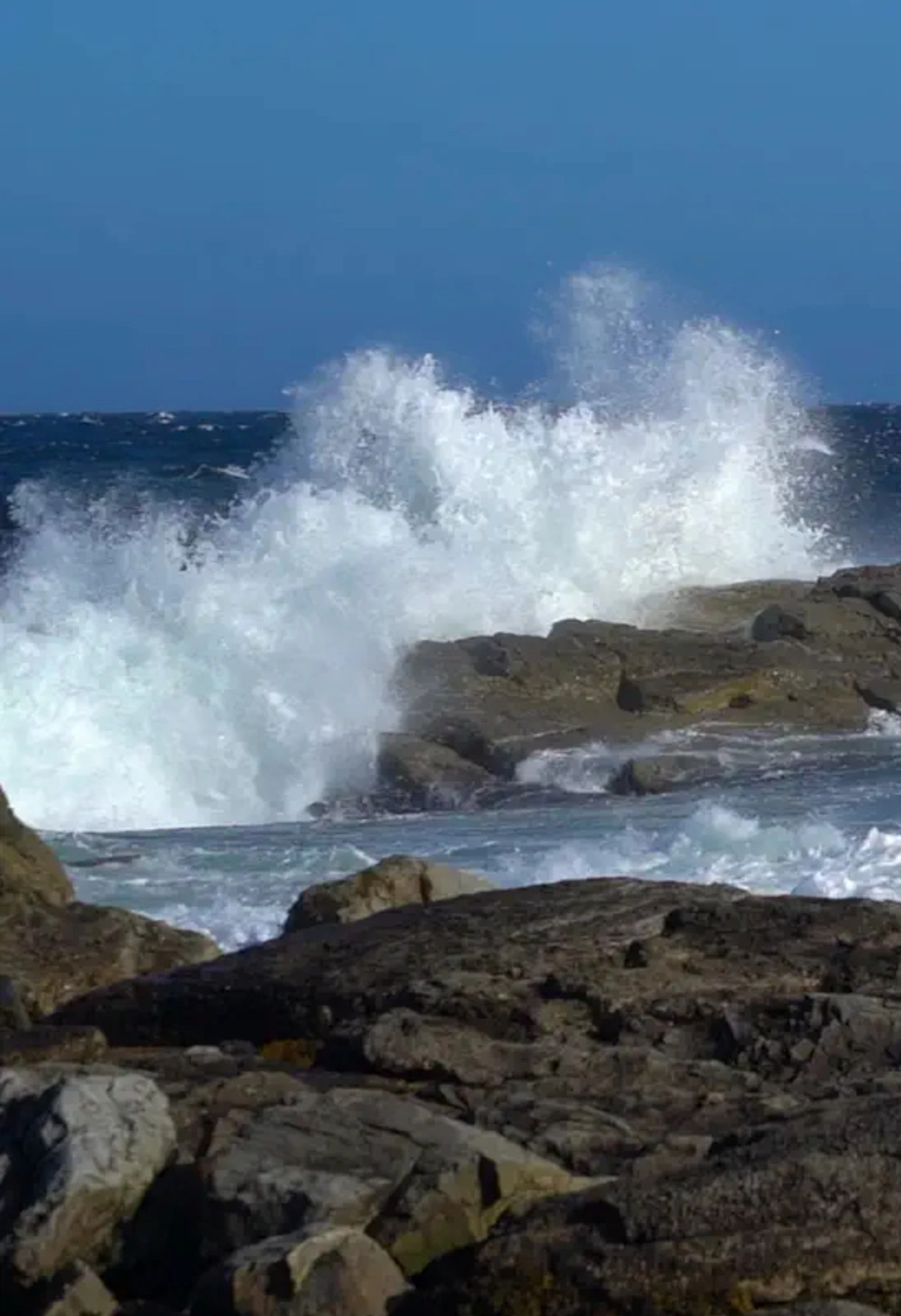 Newfoundland