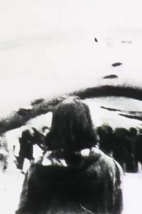 Frame Walk