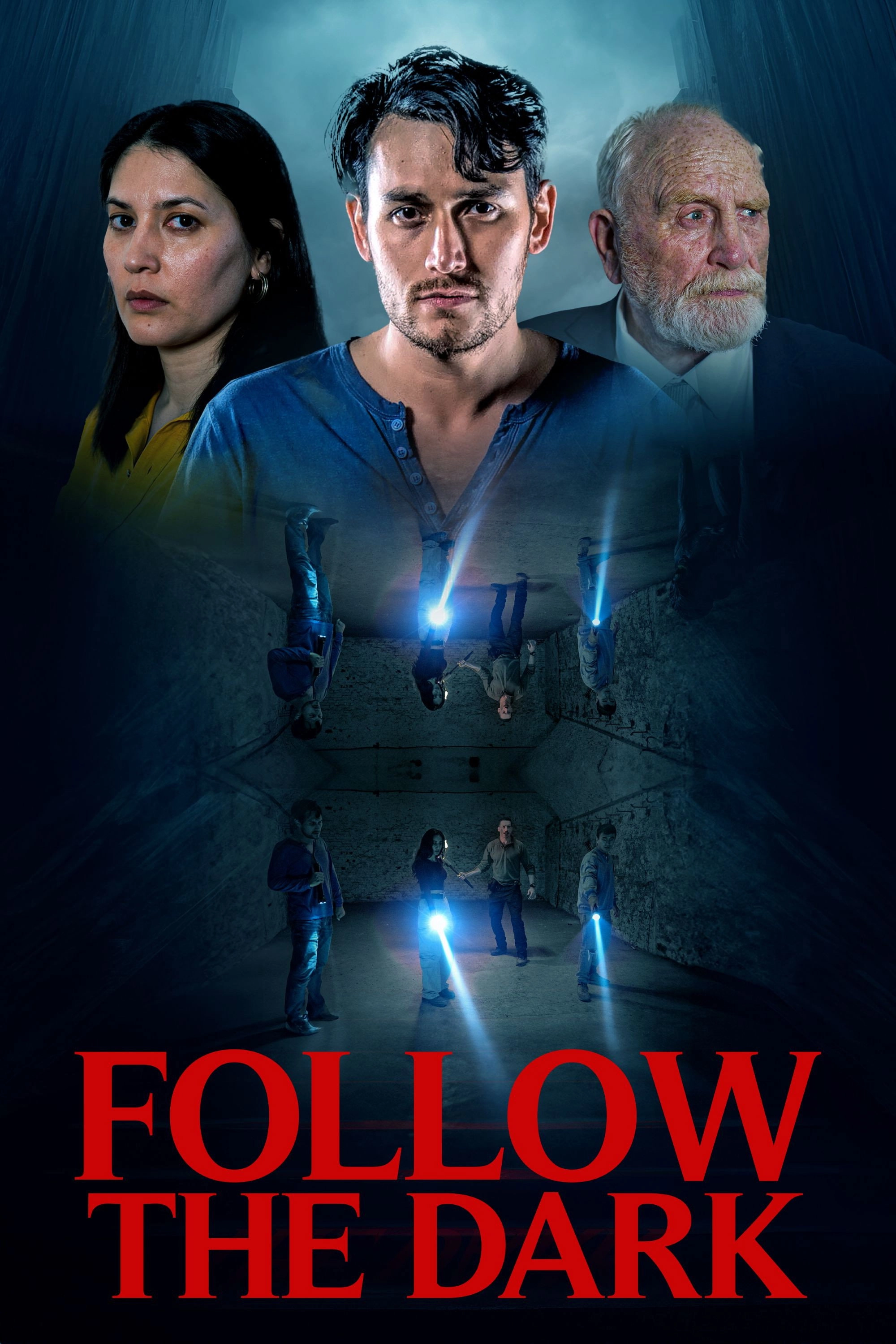 Follow the Dark