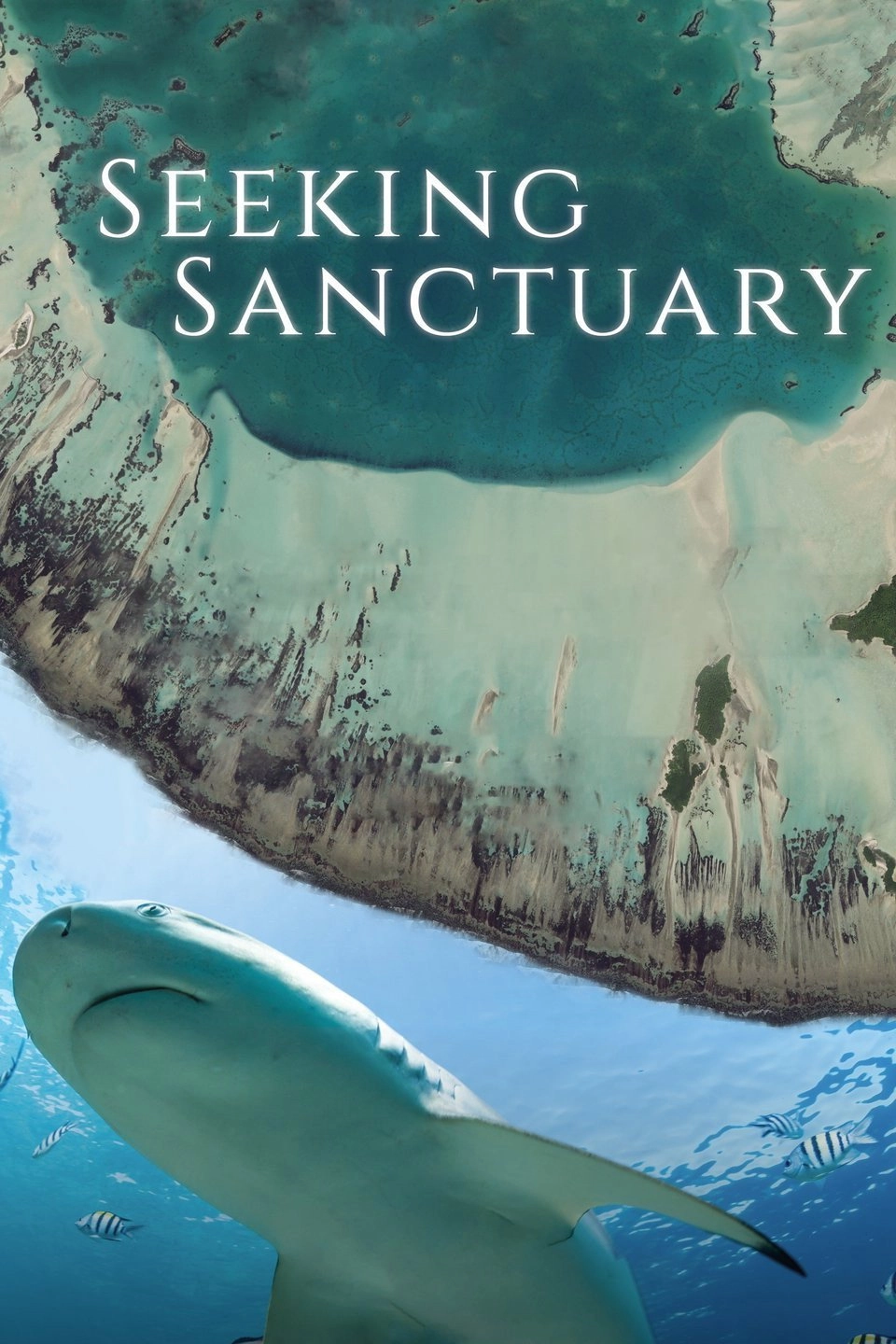 Seeking Sanctuary