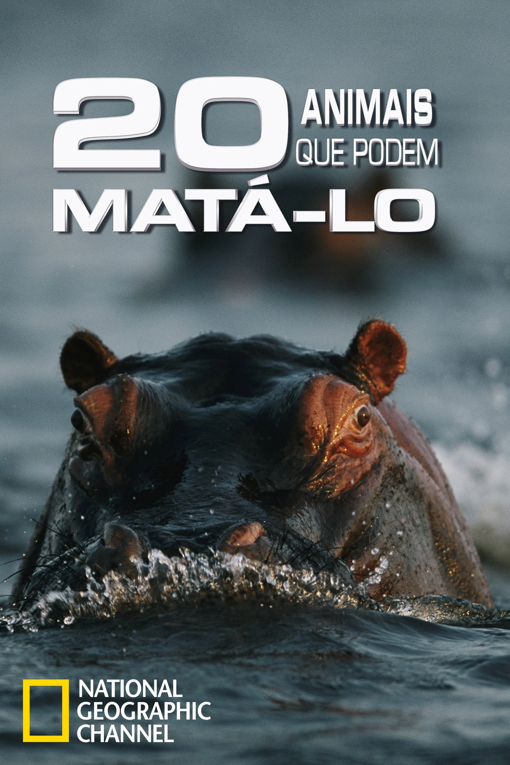 20 Animals That Will Kill You