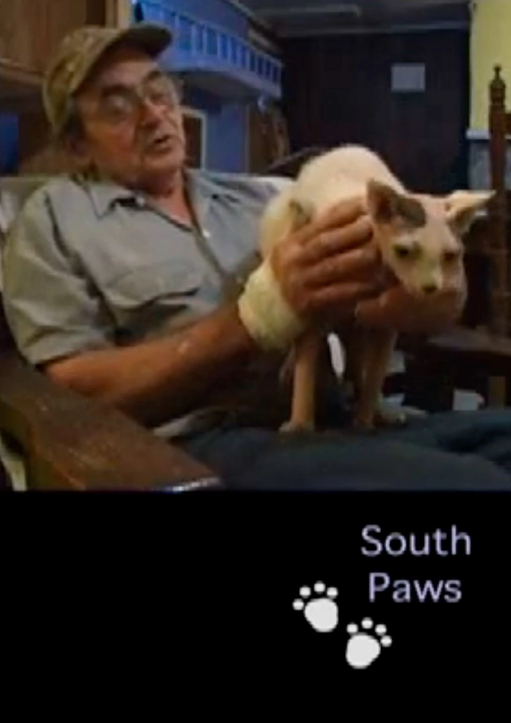 South Paws