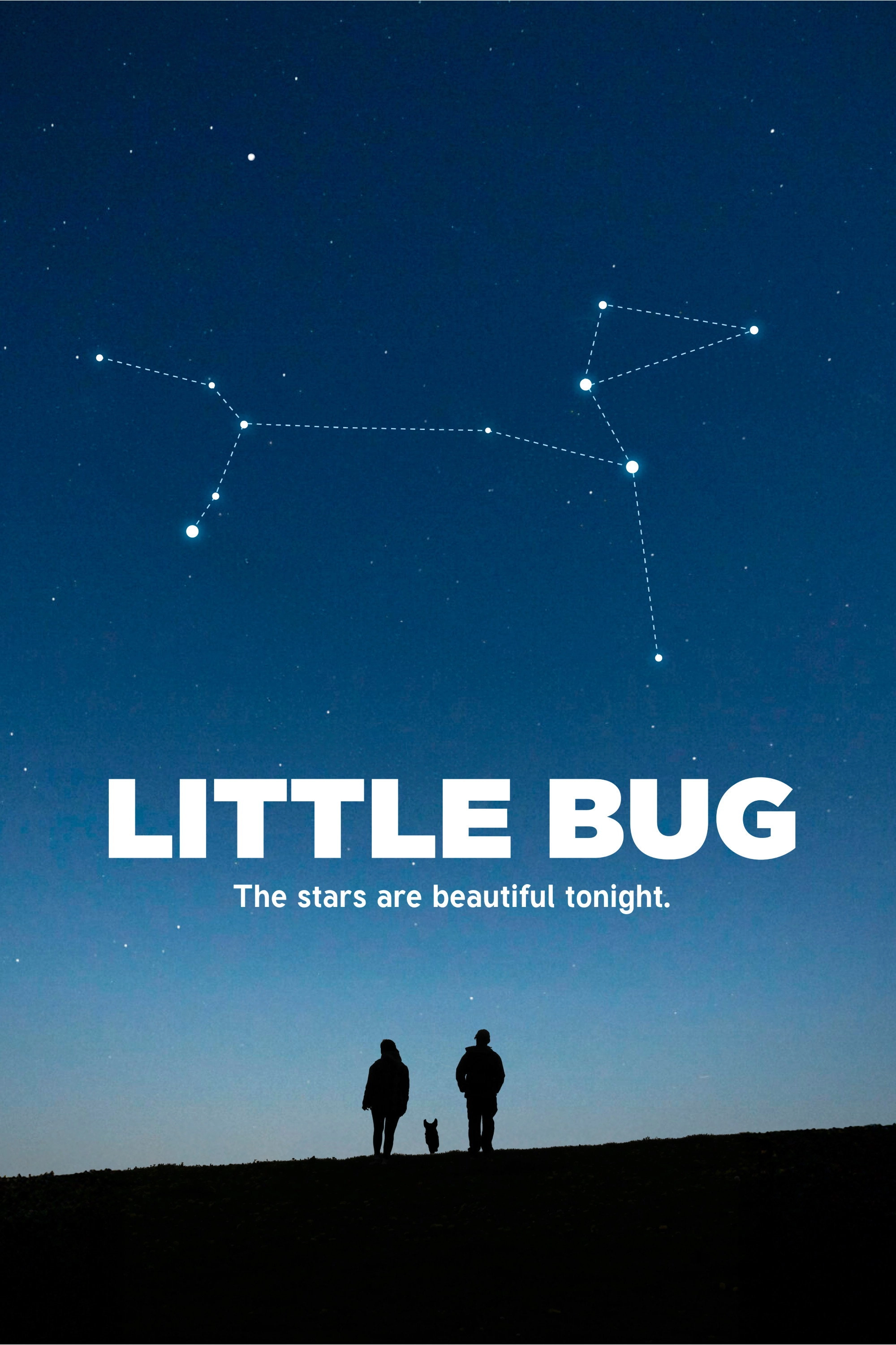 Little Bug