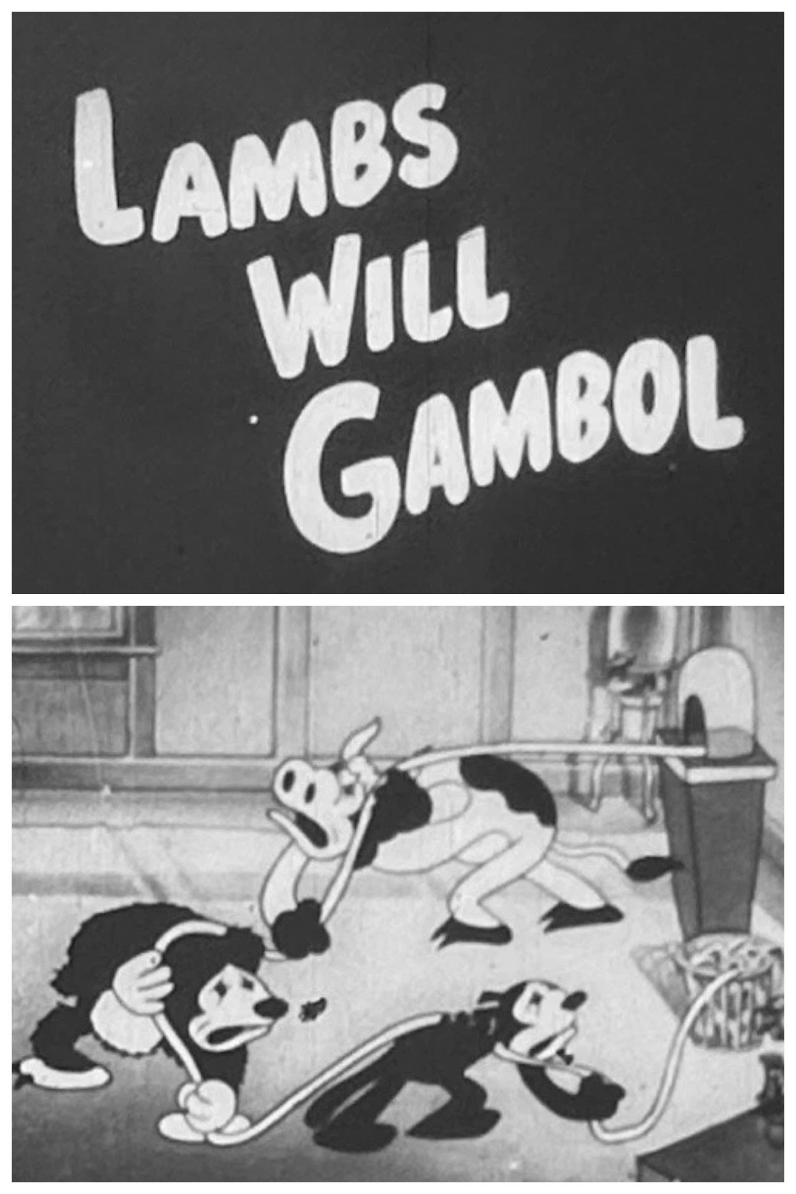 Lambs Will Gamble