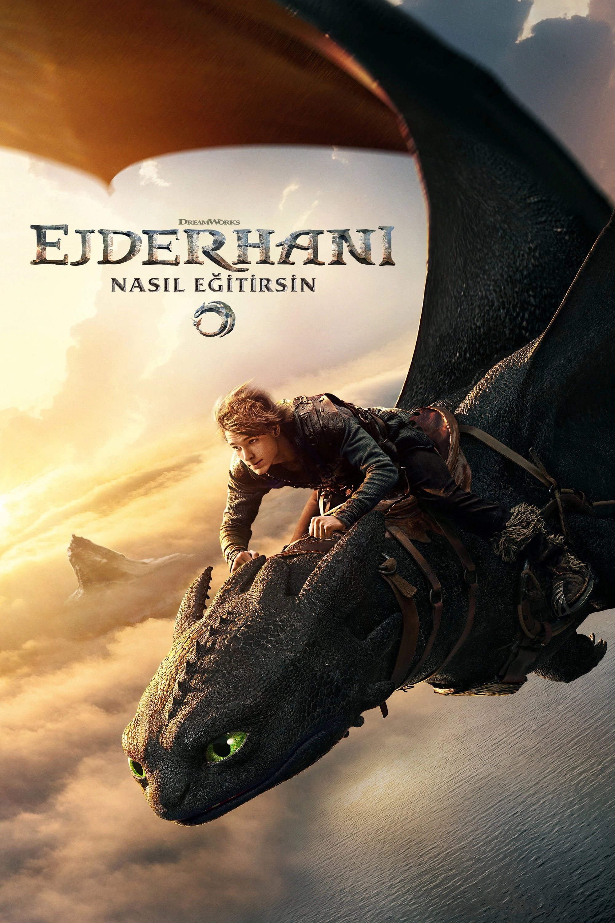 How to Train Your Dragon