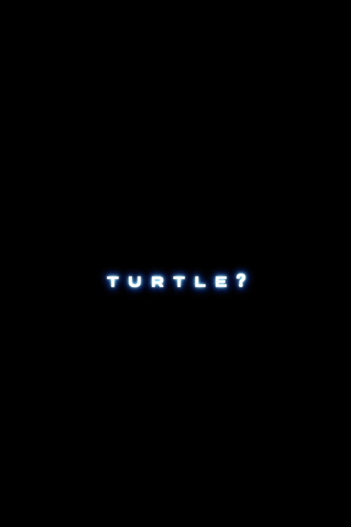 Turtle?