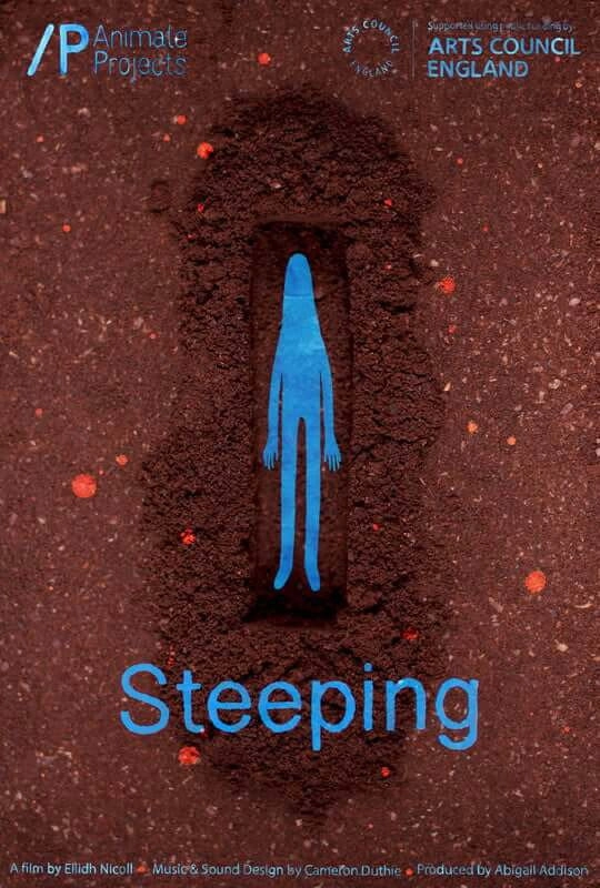 Steeping