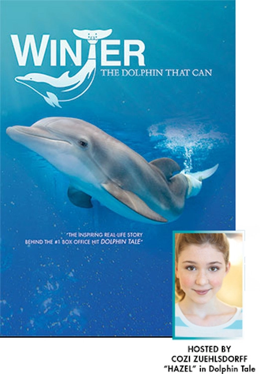 Winter, the Dolphin That Can