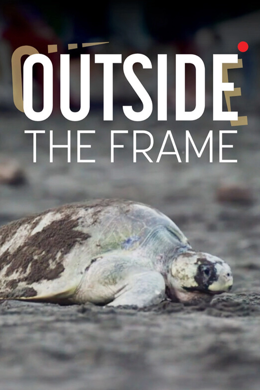 Outside The Frame