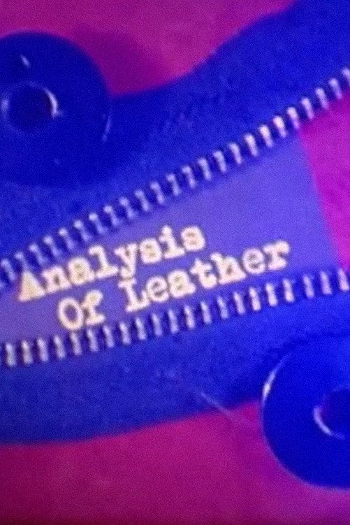 Analysis of Leather